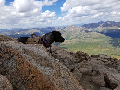 Mount Bierstadt (64).jpg